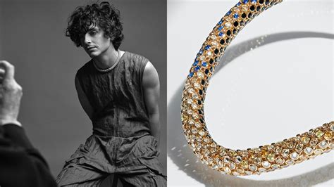 timothee chalamet cartier brooch|timothee chalamet dune necklace.